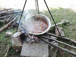 Opština Gadžin Han Vidovdanski sabor na Suvoj planini Opština Gadžin Han Vidovdanski sabor na Suvoj planini